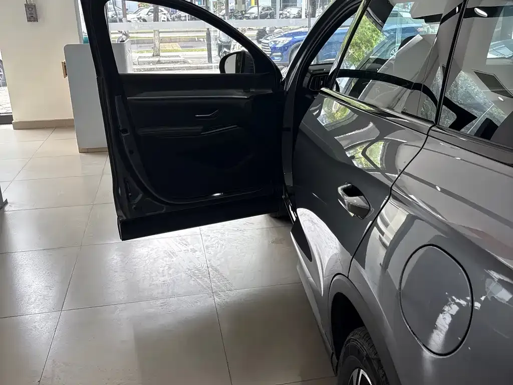 BYD Pro New Energy — фото 3
