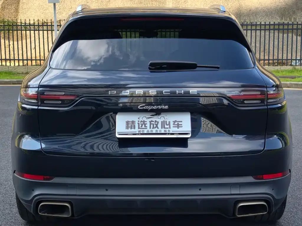 Porsche Cayenne — фото 10