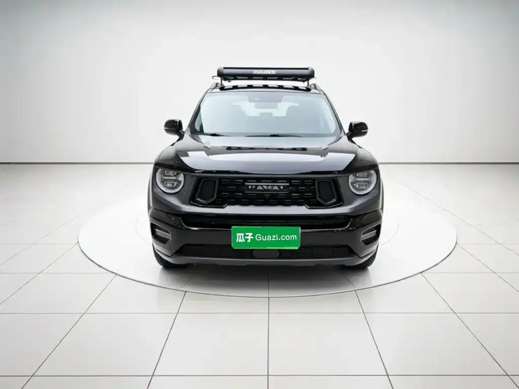 Haval Big Dog PLUS New Energy — фото 2