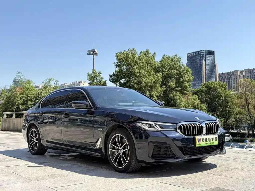 BMW 5 Series New Energy — фото 9