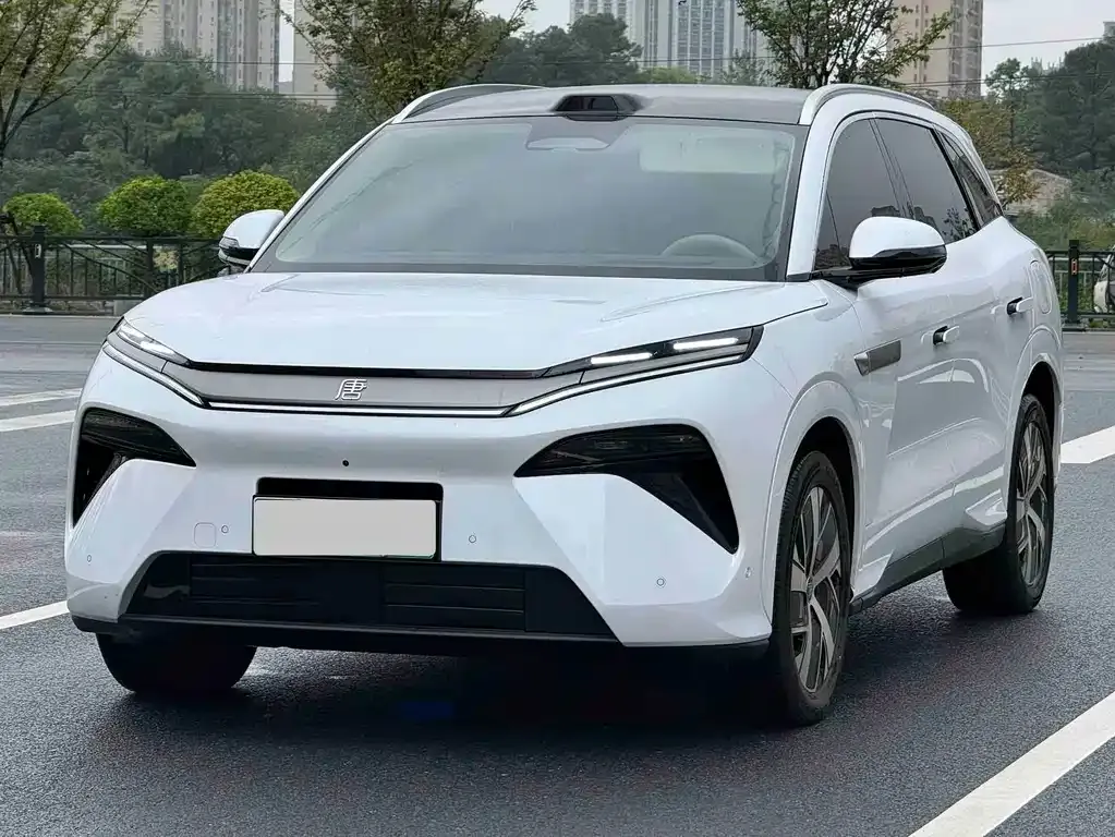 BYD Tang L — фото 1