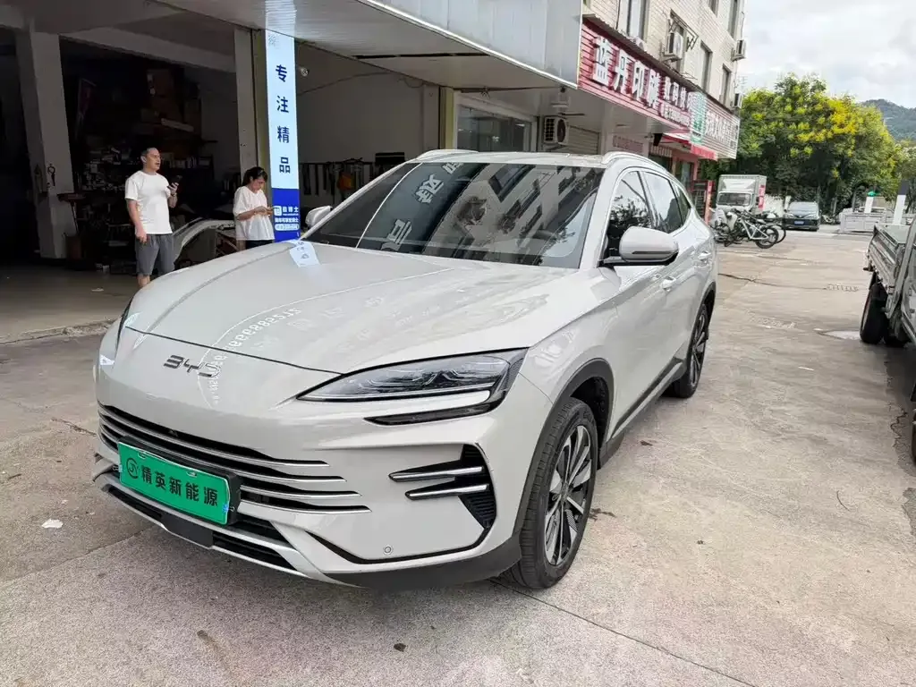 BYD PLUS New Energy — фото 1