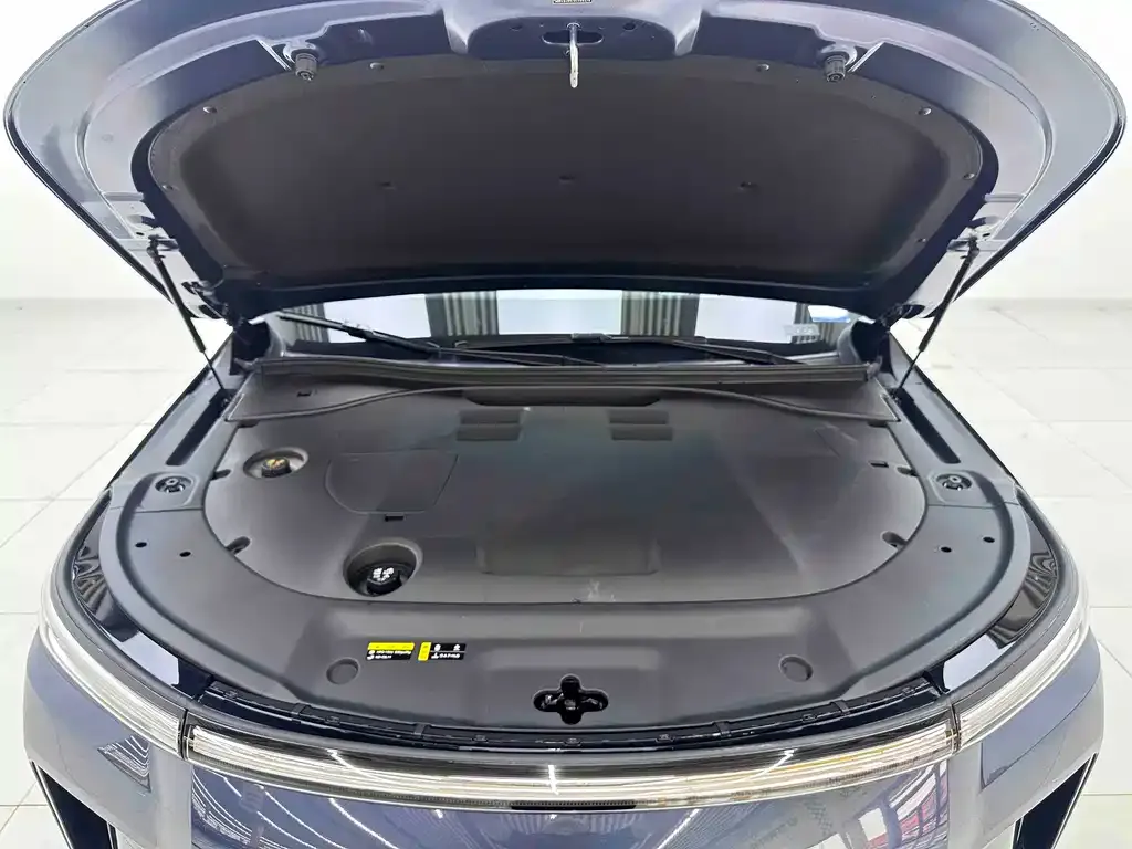 GAC Motor Trumpchi Xiangwang S9 — фото 4