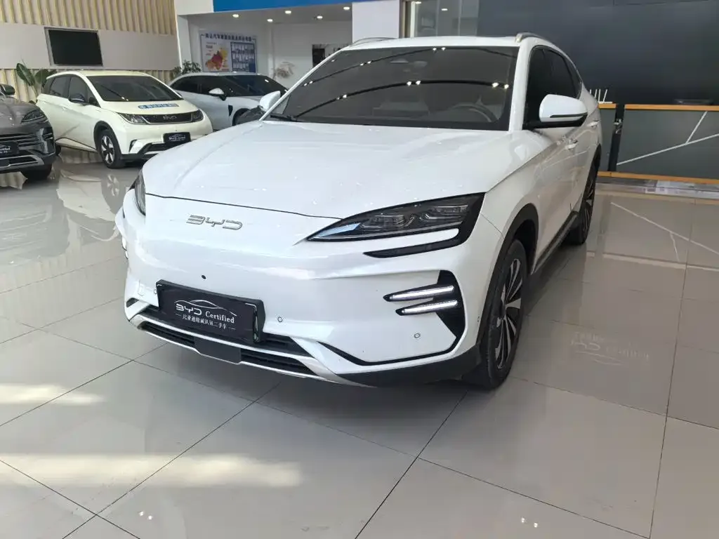 BYD PLUS New Energy — фото 1
