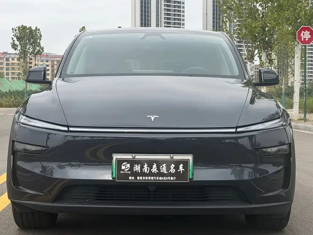 Tesla Model Y — фото 4