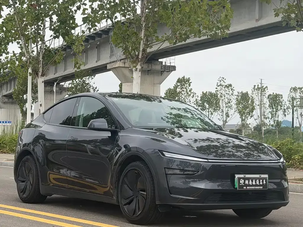 Tesla Model Y — фото 9