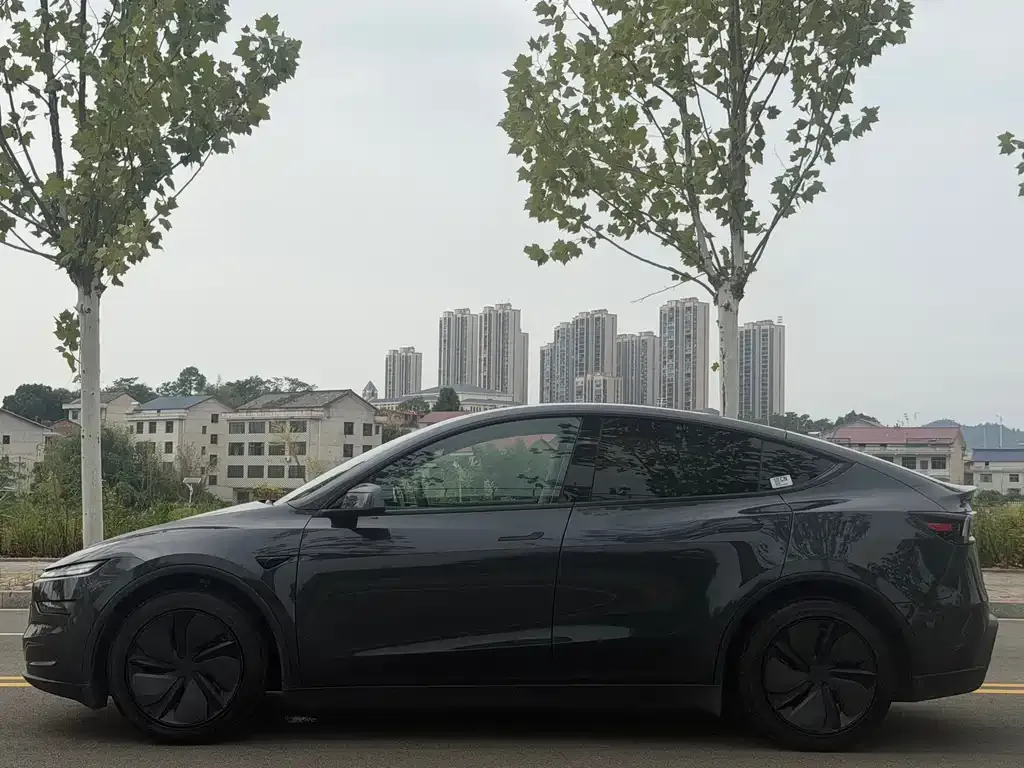 Tesla Model Y — фото 10