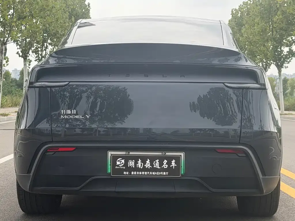 Tesla Model Y — фото 6