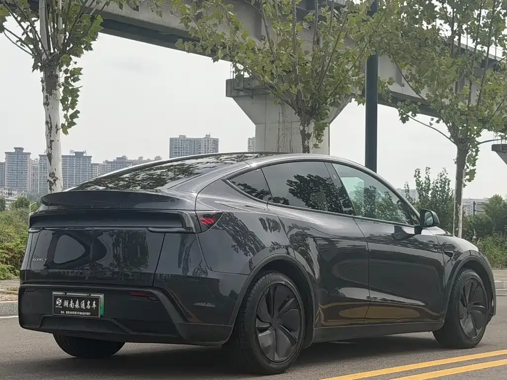 Tesla Model Y — фото 8