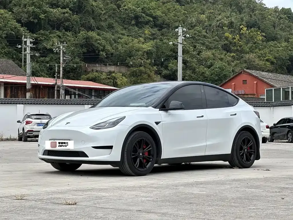 Tesla Model Y — фото 1
