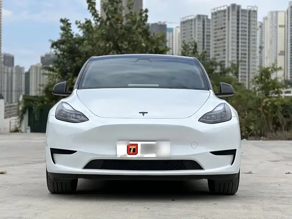 Tesla Model Y — фото 8