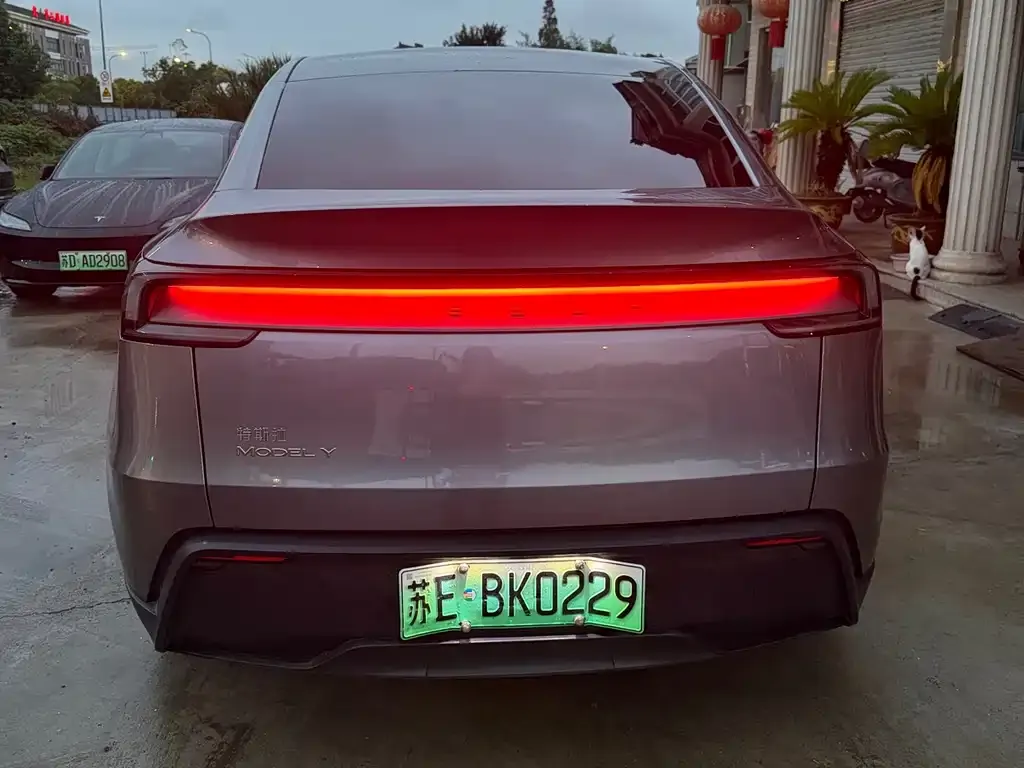 Tesla Model Y — фото 7