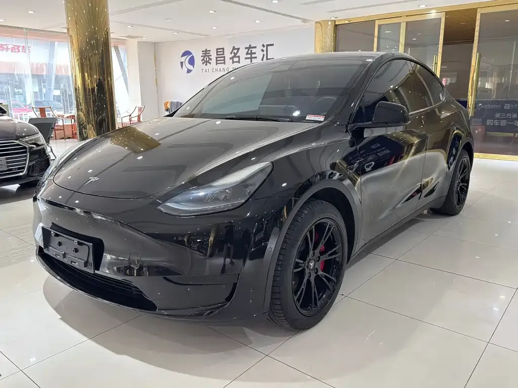 Tesla Model Y — фото 1