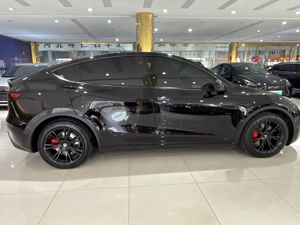 Tesla Model Y — фото 6