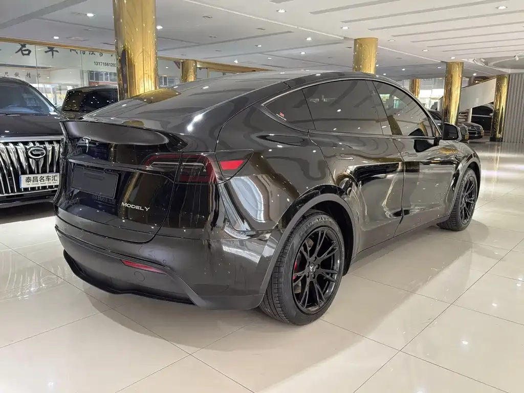 Tesla Model Y — фото 4