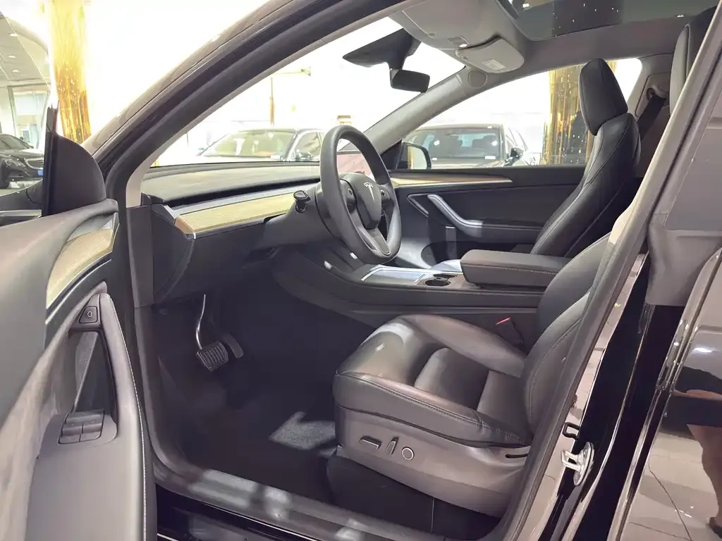 Tesla Model Y — фото 2