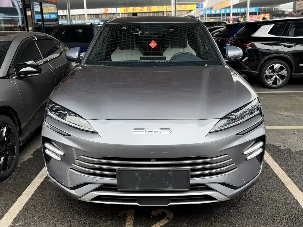 BYD PLUS New Energy — фото 1