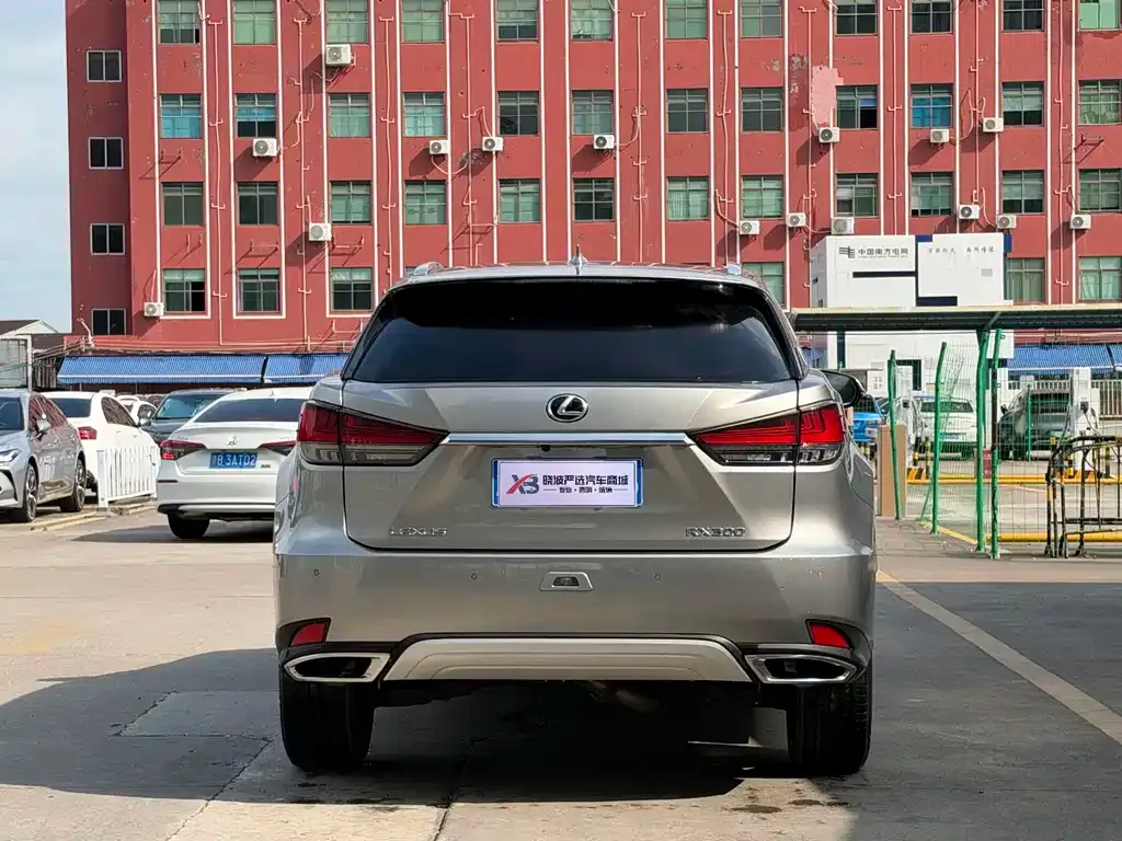 Lexus RX — фото 5