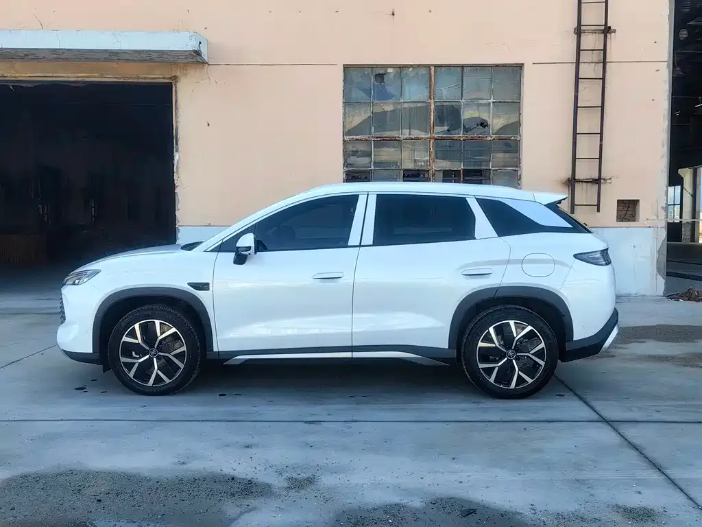 BYD L DM-i — фото 10