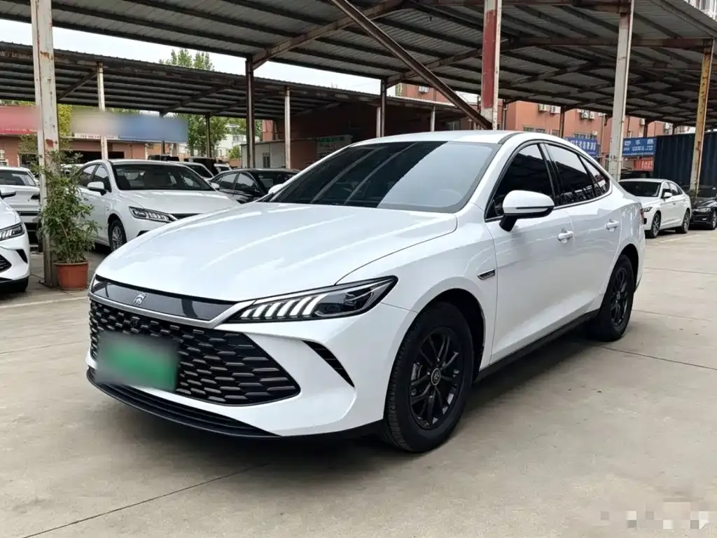 BYD Qin PLUS — фото 1