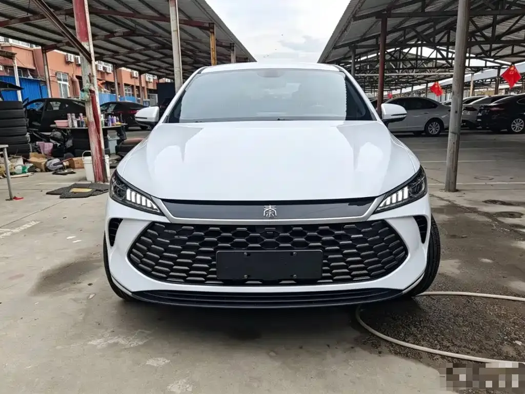 BYD Qin PLUS — фото 8