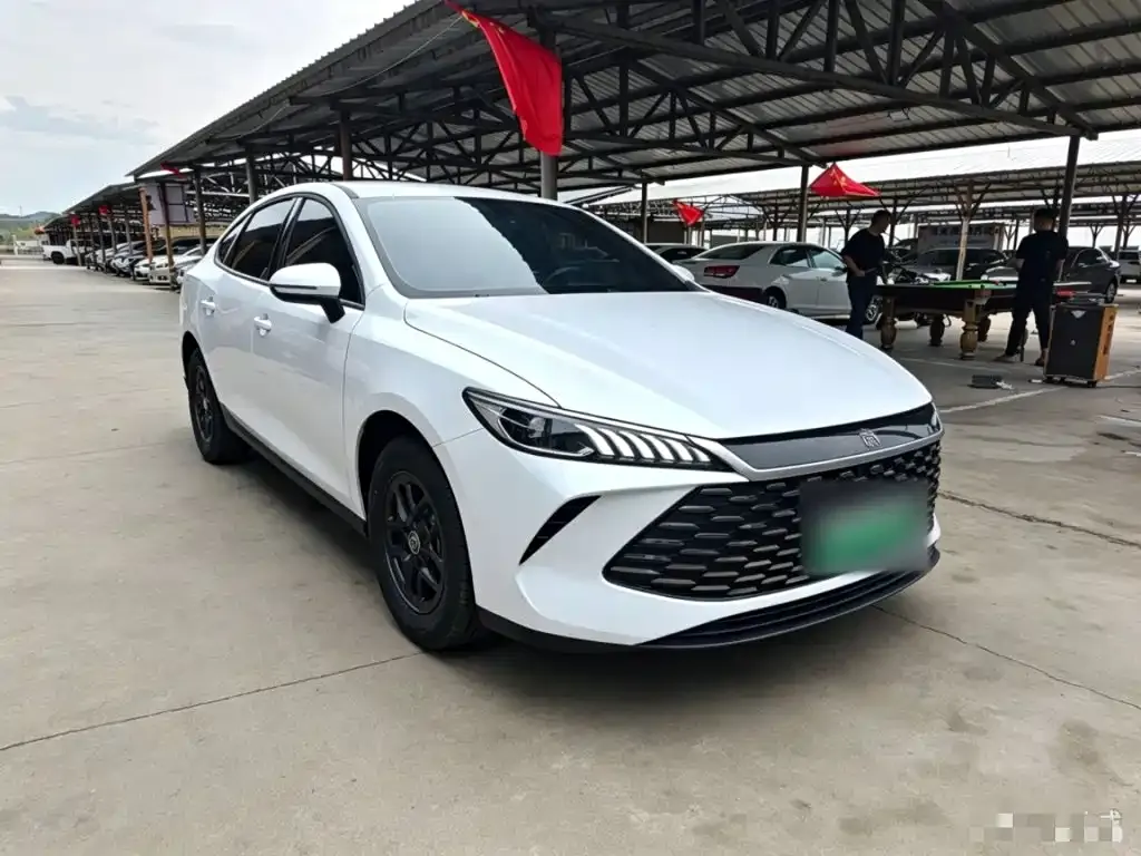 BYD Qin PLUS — фото 6