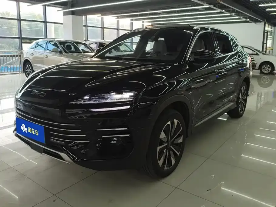 BYD PLUS New Energy — фото 1