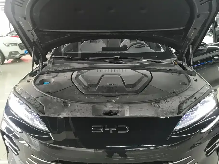 BYD PLUS New Energy — фото 8