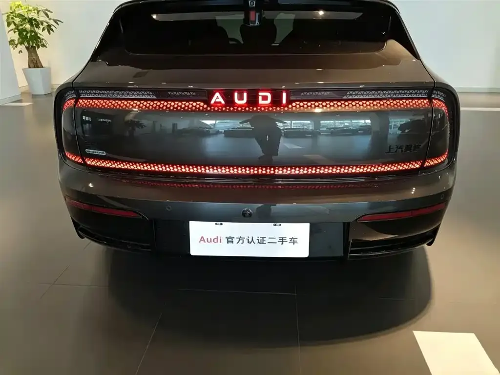 Audi E5 Sportback — фото 10