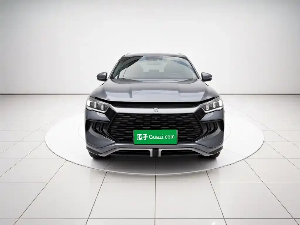 BYD Pro New Energy — фото 9