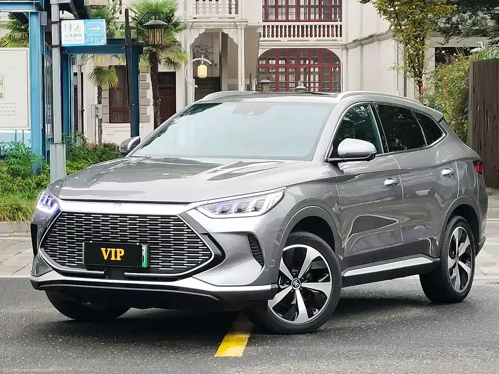 BYD PLUS New Energy — фото 1