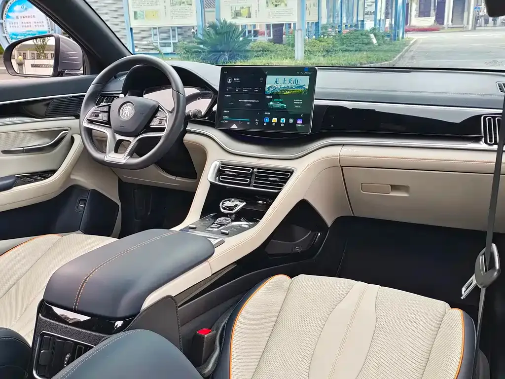BYD PLUS New Energy — фото 10