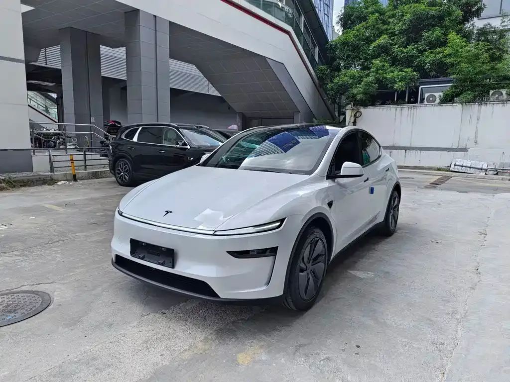 Tesla Model Y — фото 1