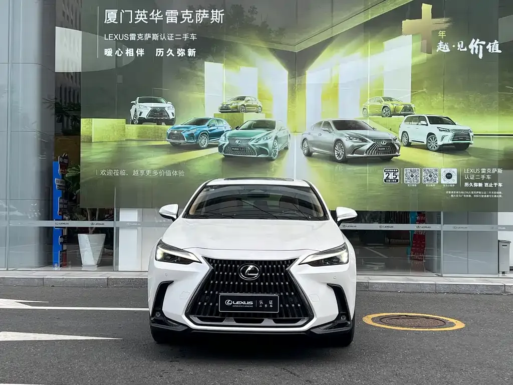 Lexus NX New Energy — фото 8