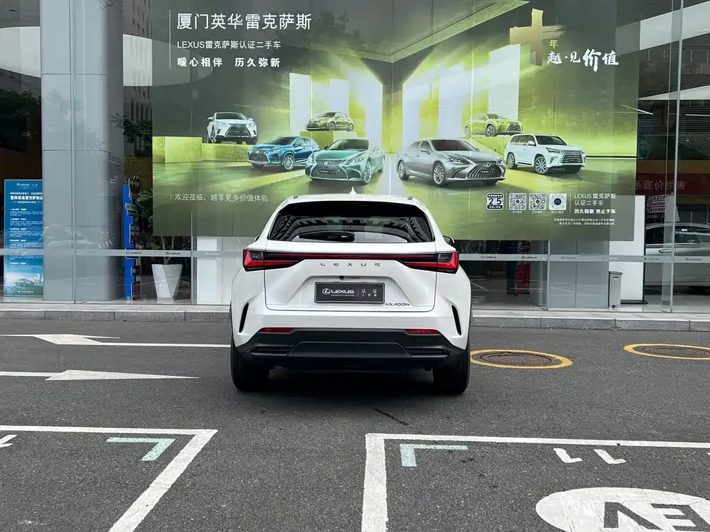Lexus NX New Energy — фото 10