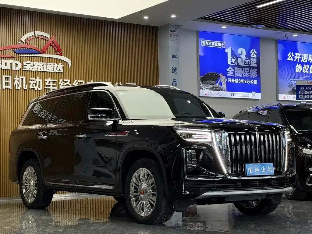 Hongqi Hongqi Golden Sunflower Guoyao — фото 10