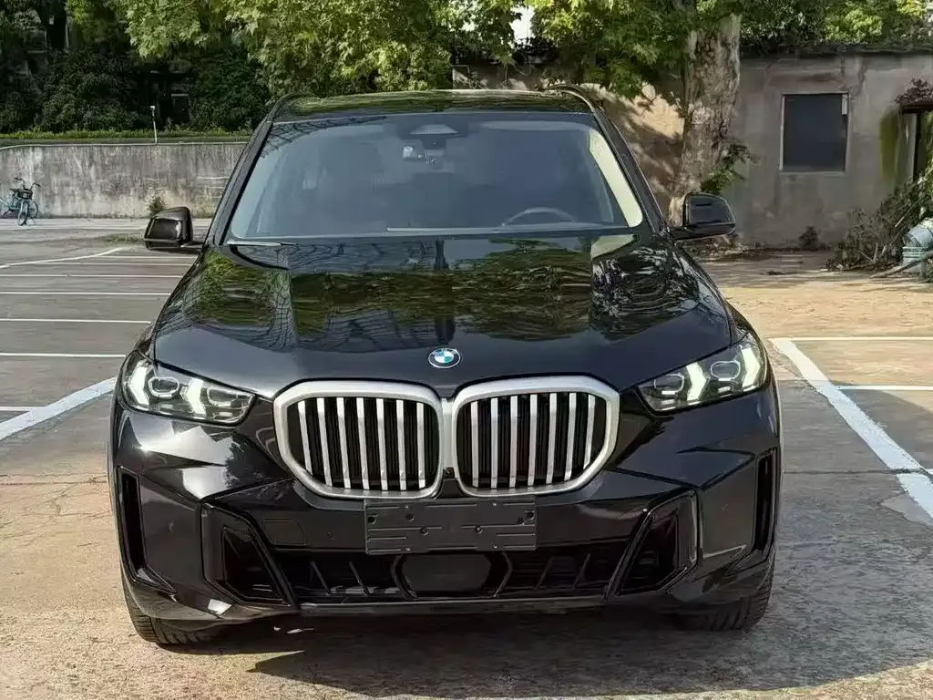 BMW X5 — фото 5