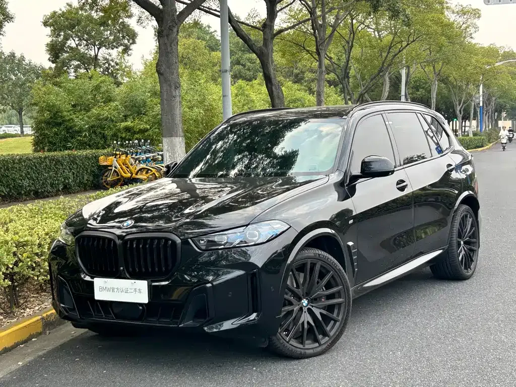 BMW X5 — фото 1