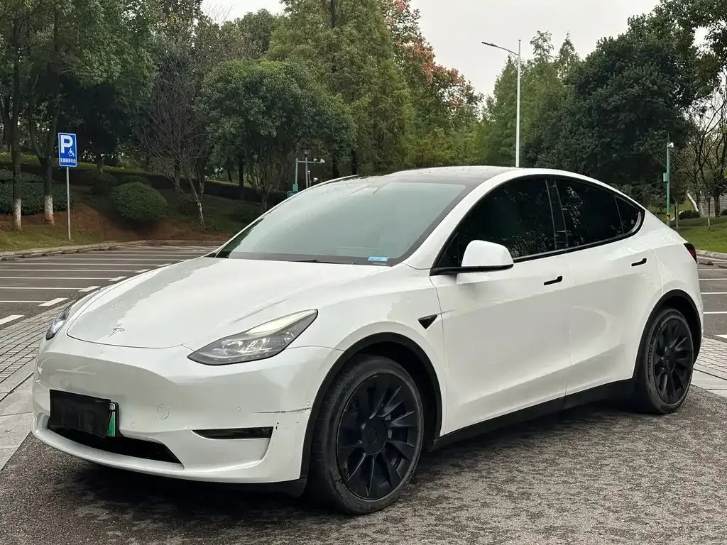 Tesla Model Y — фото 1