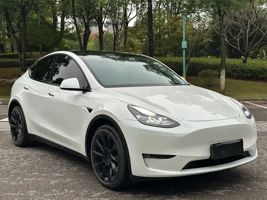 Tesla Model Y — фото 10