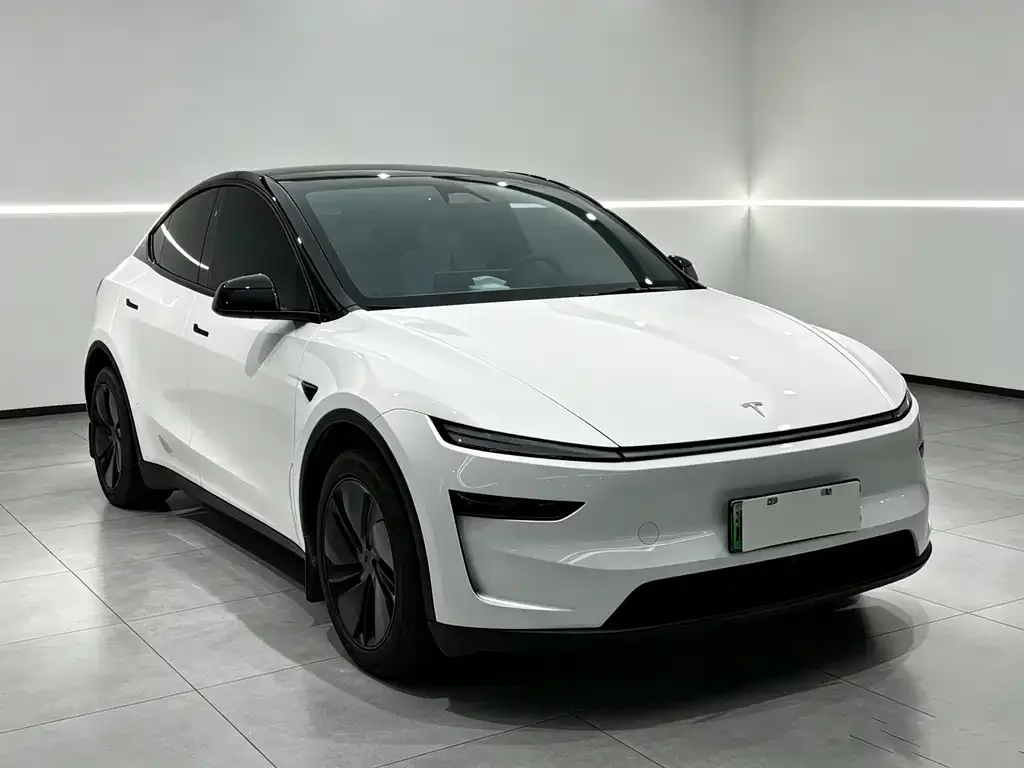 Tesla Model Y — фото 2