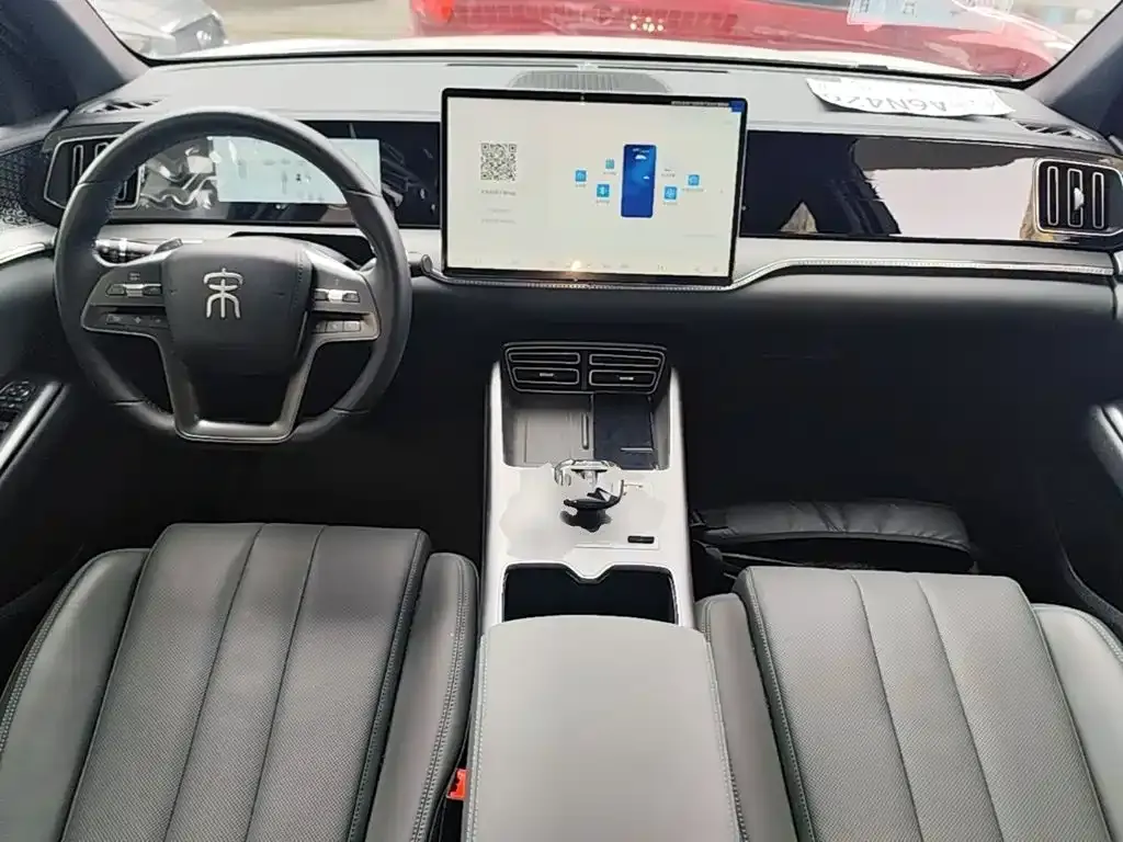 BYD Pro New Energy — фото 9