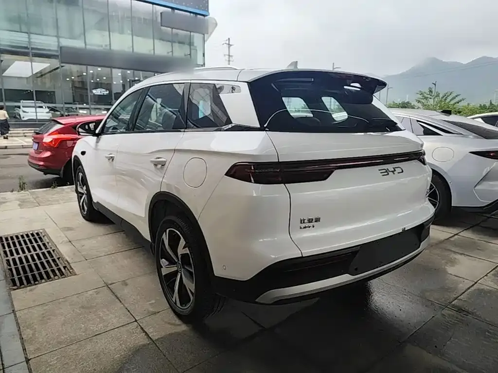 BYD Pro New Energy — фото 4