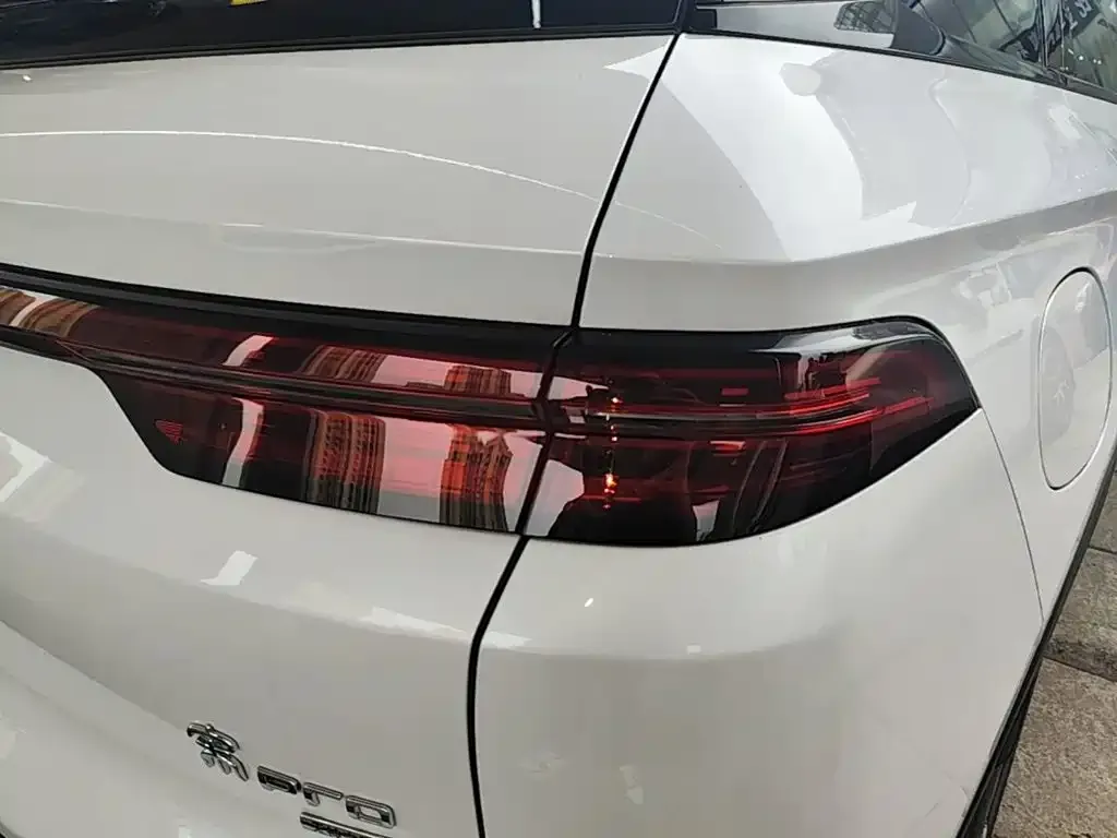 BYD Pro New Energy — фото 10