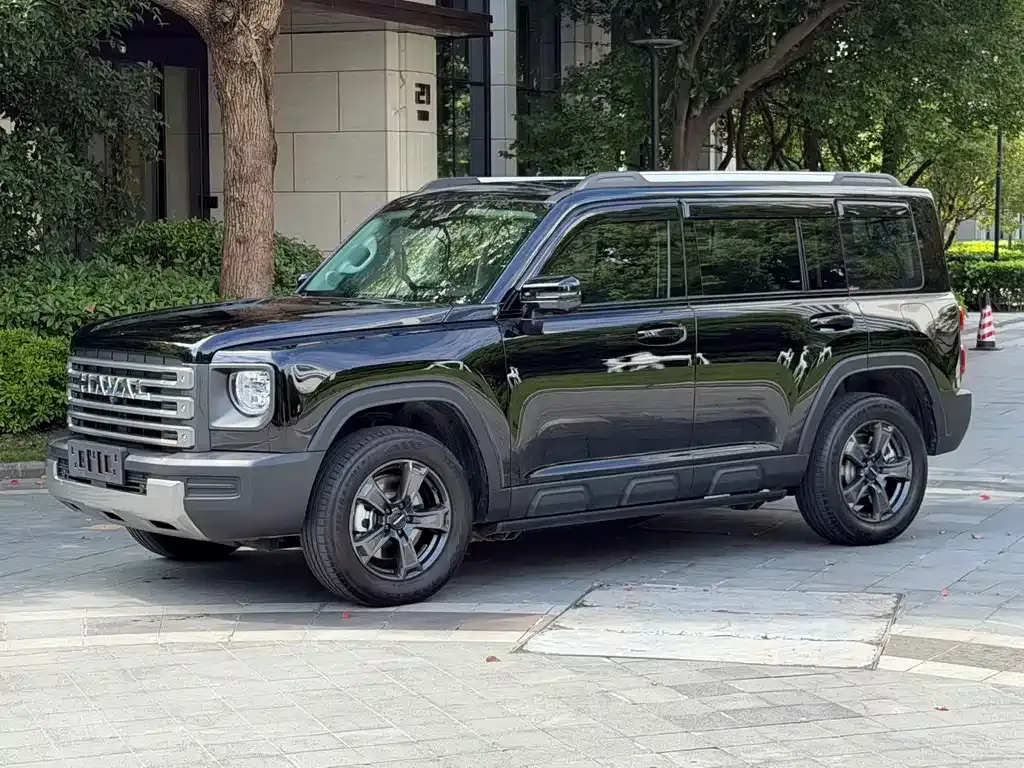 Haval Menglong New Energy — фото 1