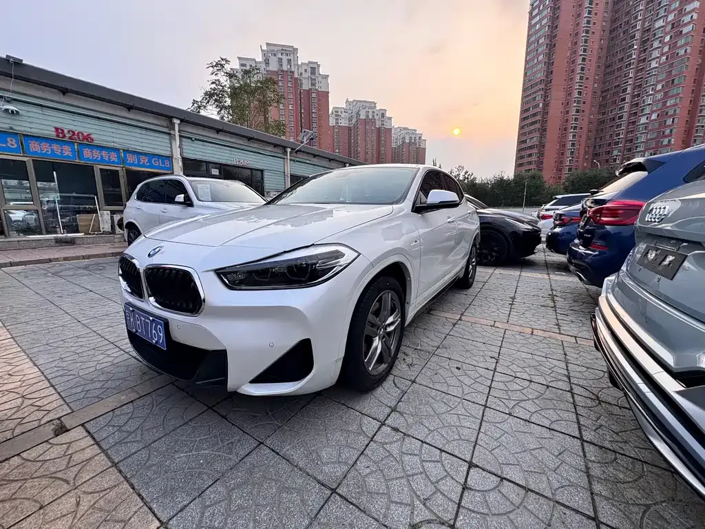 BMW X2 — фото 1