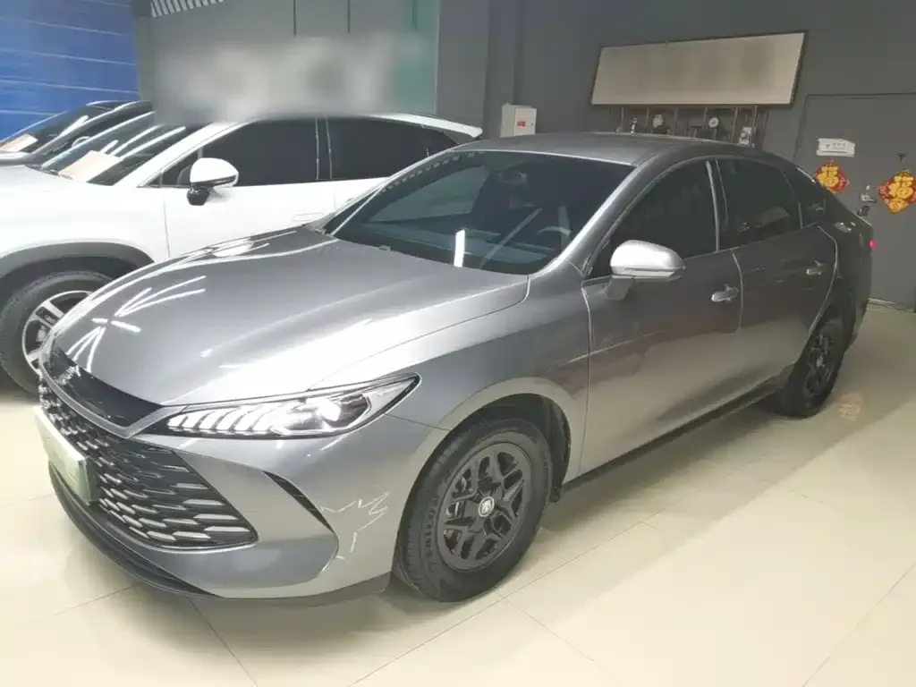 BYD Qin PLUS — фото 1