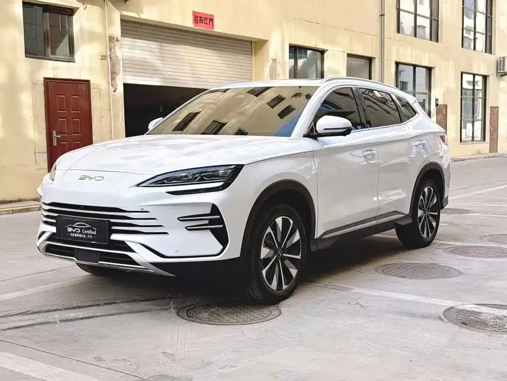 BYD PLUS New Energy — фото 1