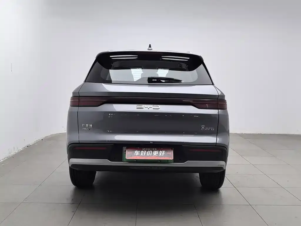 BYD Pro New Energy — фото 3