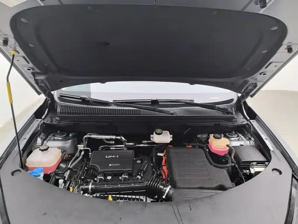 BYD Pro New Energy — фото 4